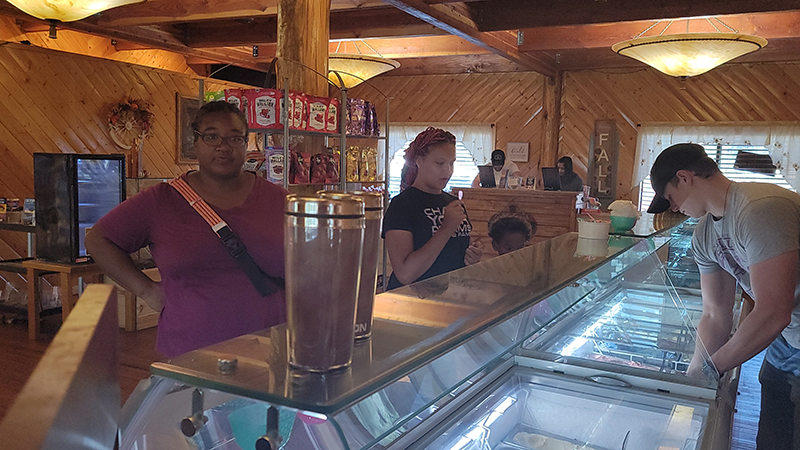 Gallery collage photo